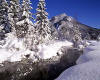 950422  D/Bavaria:  Winter near Ettal