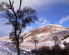 981362   GB/Scotland: Winter in Glen Lochsie