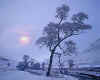 981363   GB/Scotland: Winter at Glen Lochsie